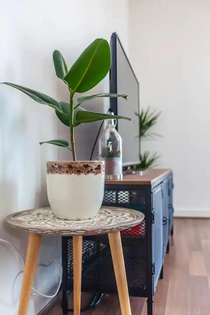 Charming 2 Bed Flat Near Greenwich Londra 0*,